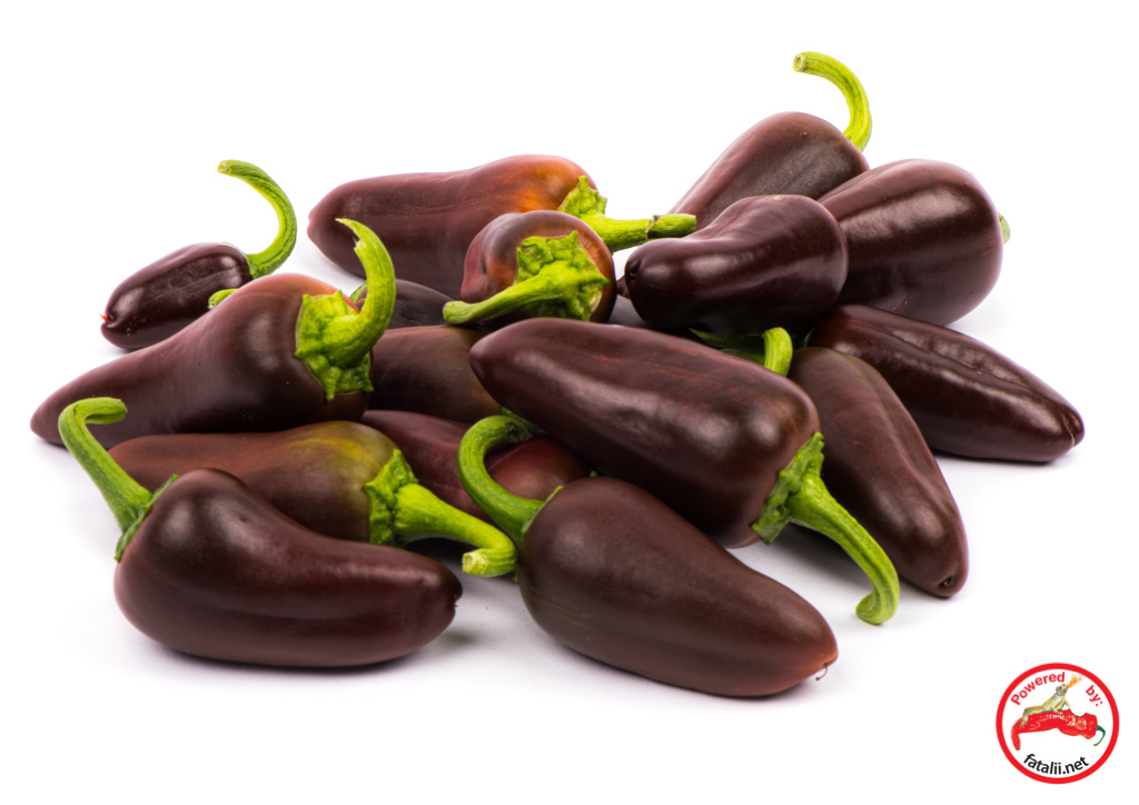 Jalapeno, Brown Fatalii Seeds