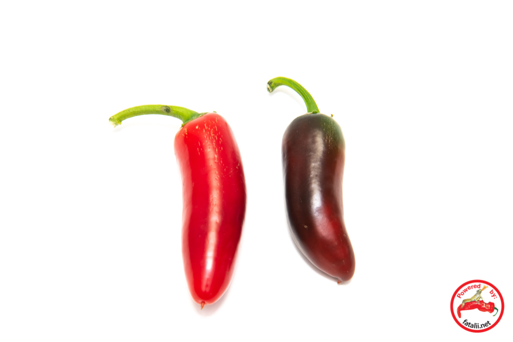 Jalapeno, Craigs’s Grande – Fatalii Seeds