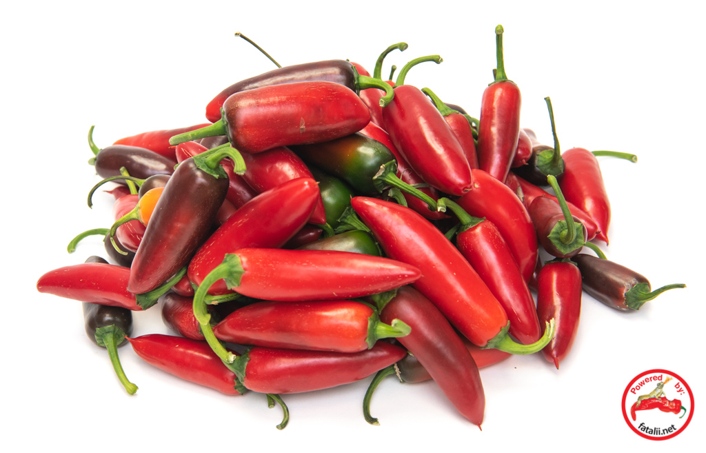 Jalapeno, Craigs’s Grande – Fatalii Seeds
