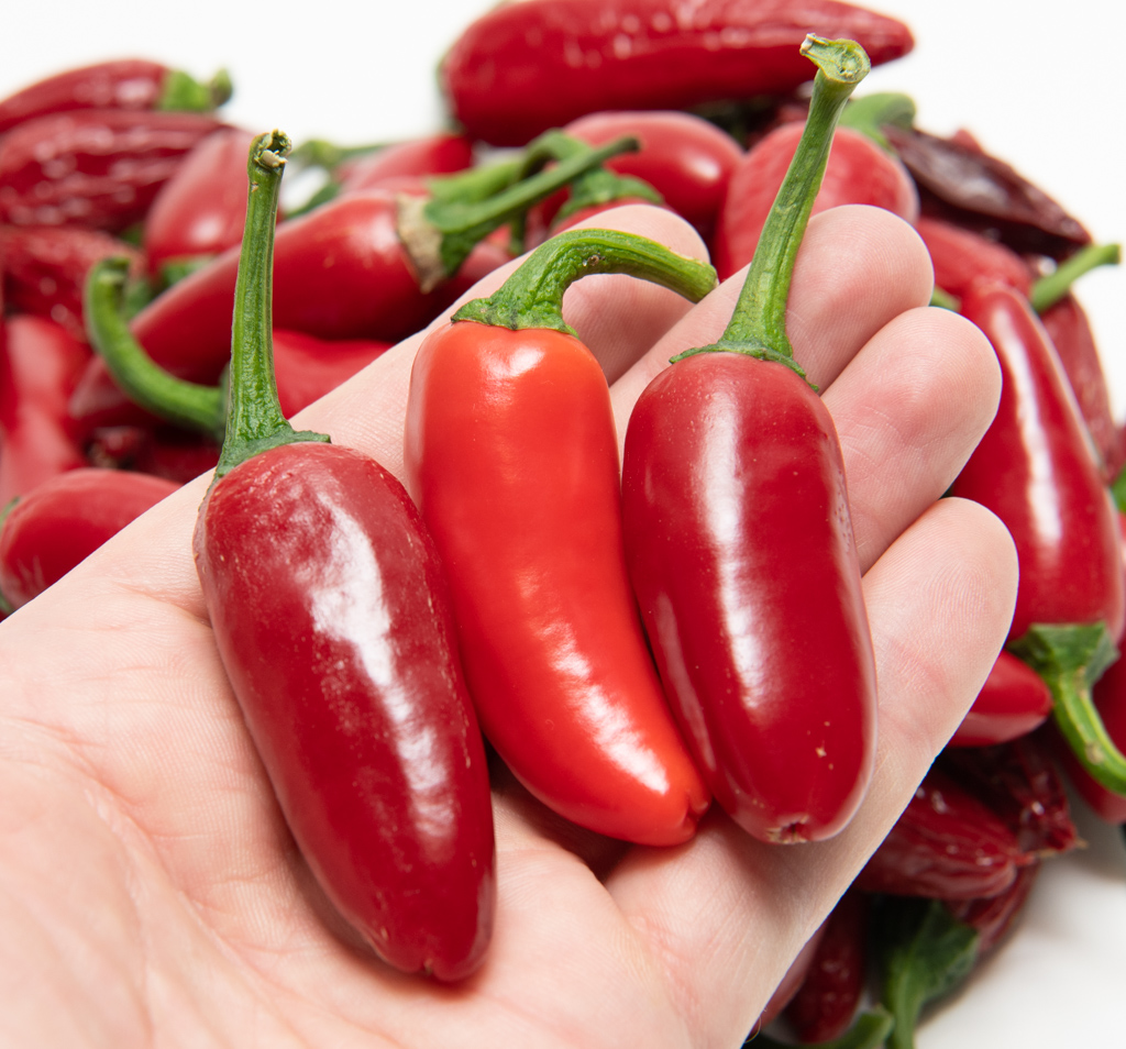 Jalapeno, Sweet Fatalii Seeds