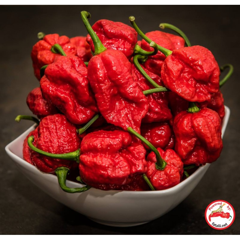 Carolina Reaper Fatalii Seeds