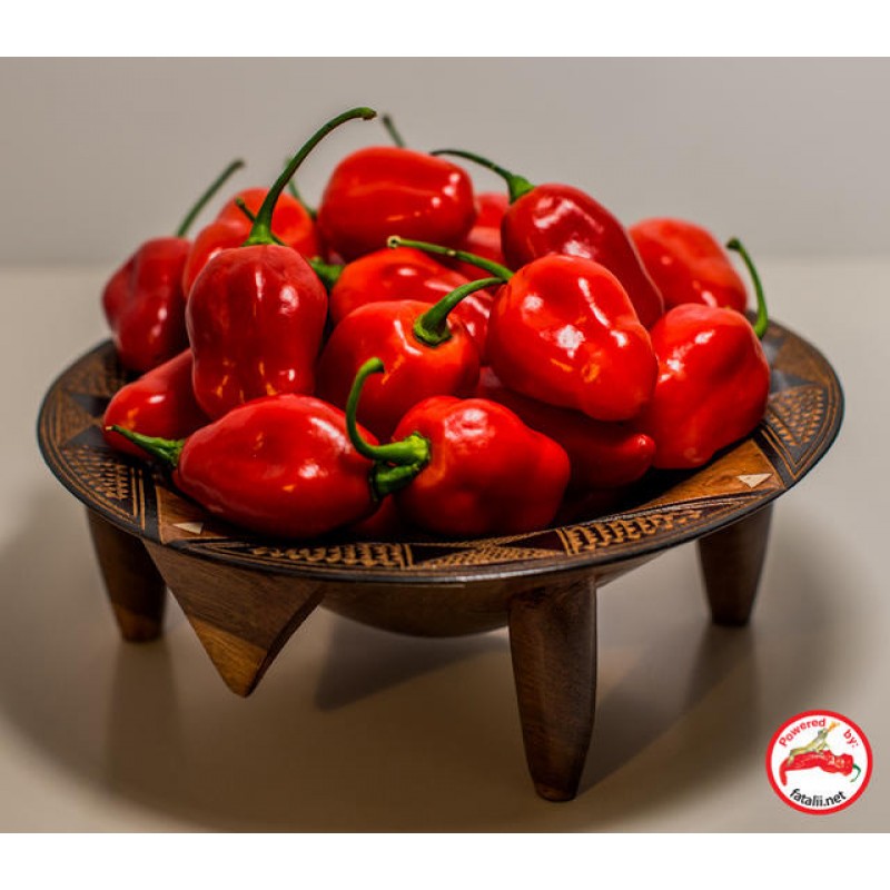 Kit Rocato Rocato » Fatalii Seeds